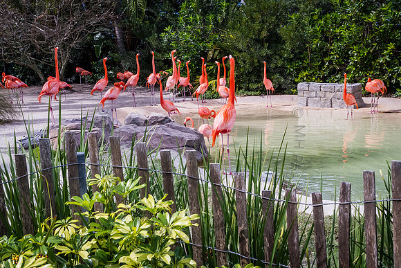 Florida 2012 ~ Week 3-088