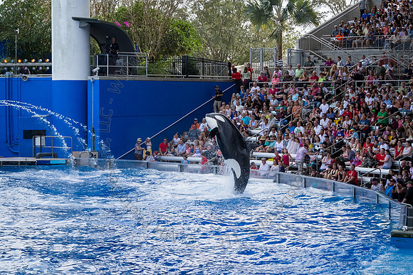 Florida 2012 ~ Week 3-071