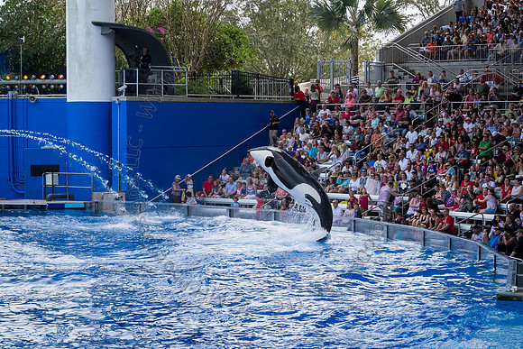 Florida 2012 ~ Week 3-073