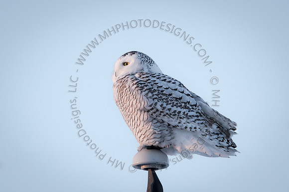 December Projects 2014-001