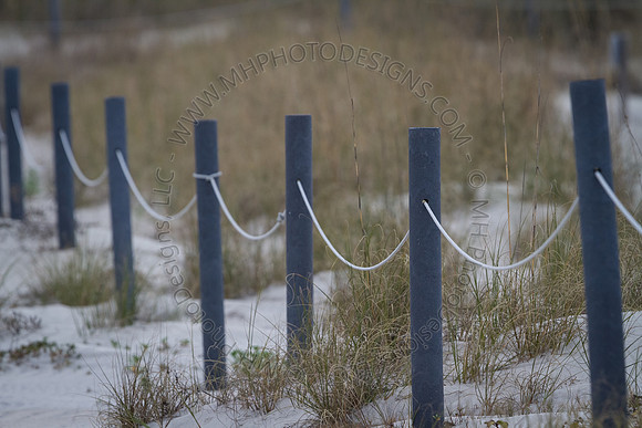 Florida 2012 ~ Week 3-256