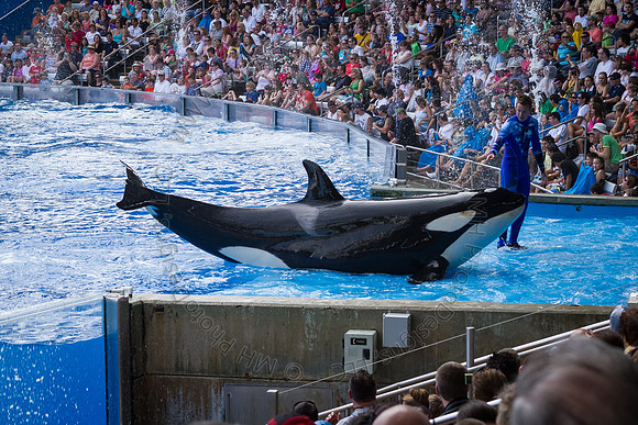 Florida 2012 ~ Week 3-050