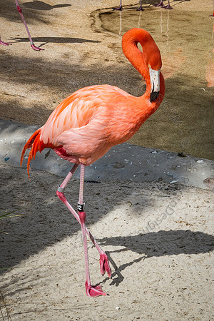 Florida 2012 ~ Week 3-084