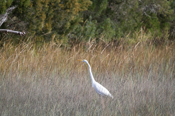 Florida 2012 ~ Week 3-001