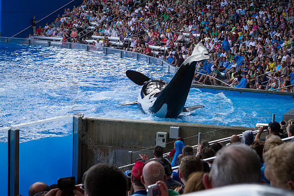 Florida 2012 ~ Week 3-077