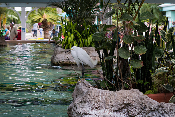 Florida 2012 ~ Week 3-091