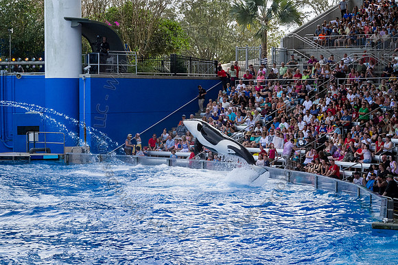 Florida 2012 ~ Week 3-074