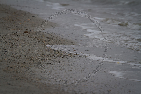Florida 2012 ~ Week 3-228