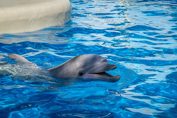 Florida 2012 ~ Week 3-024