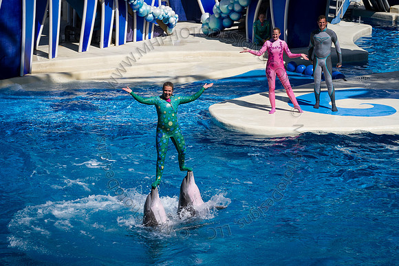 Florida 2012 ~ Week 3-105