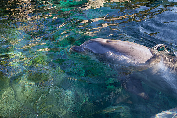 Florida 2012 ~ Week 3-164