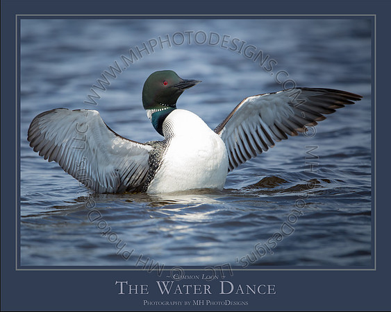 THE WATER DANCE - 24" x 30"