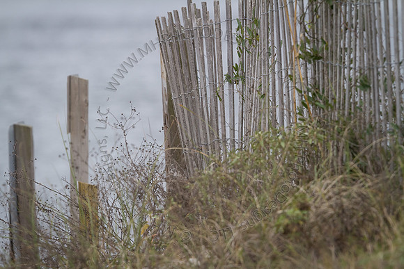 Florida 2012 ~ Week 3-271
