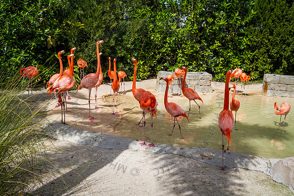 Florida 2012 ~ Week 3-083