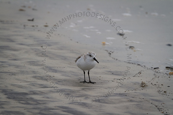 Florida 2012 ~ Week 3-201