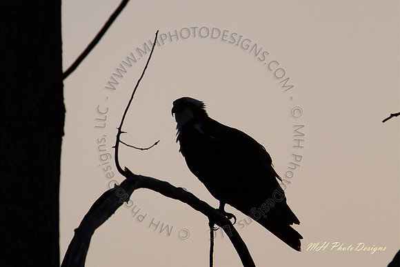 April Projects 2010-047