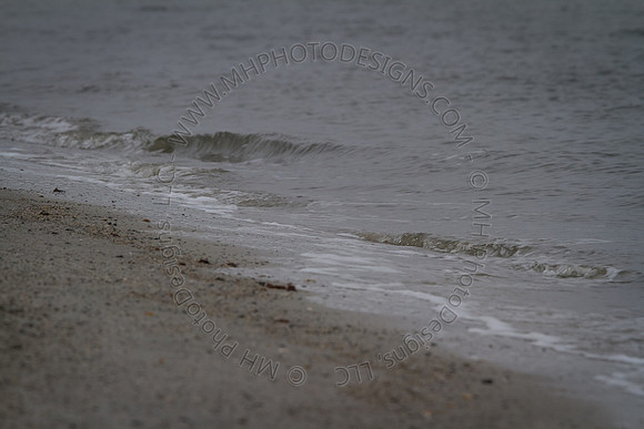 Florida 2012 ~ Week 3-229