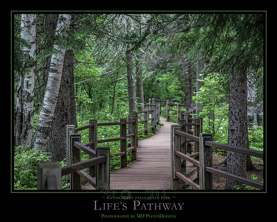 LIFE'S PATHWAY - 24" x 30"