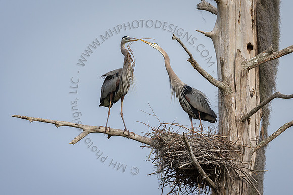 Florida Getaway 2016-018