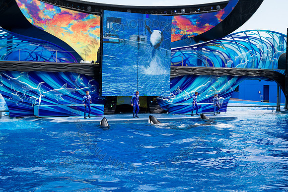 Florida 2012 ~ Week 3-030