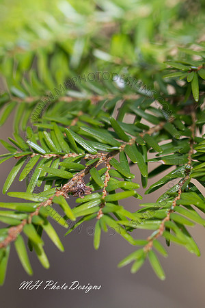April Projects 2010-002