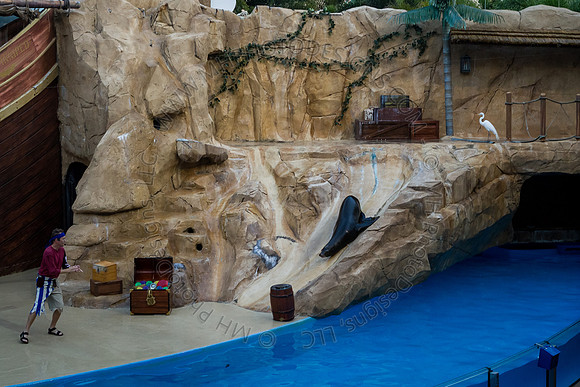 Florida 2012 ~ Week 3-185