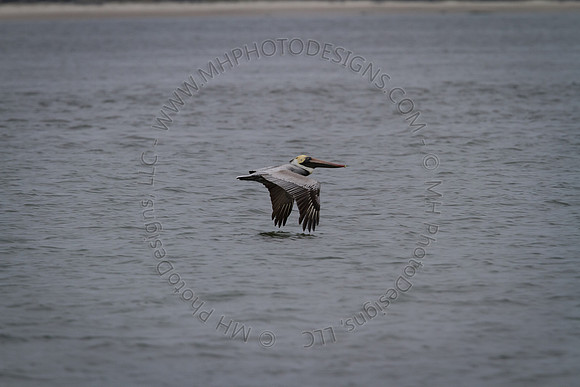Florida 2012 ~ Week 3-231