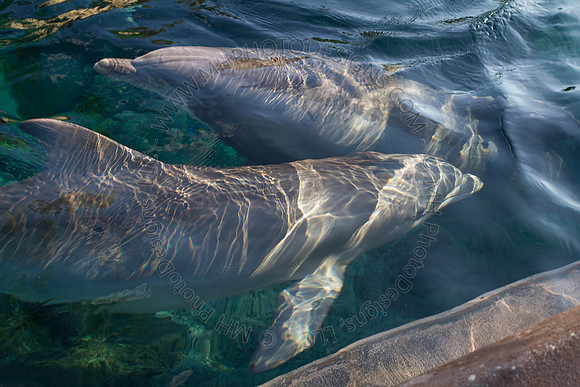 Florida 2012 ~ Week 3-163