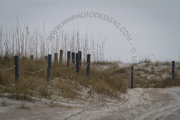 Florida 2012 ~ Week 3-236