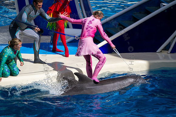 Florida 2012 ~ Week 3-129
