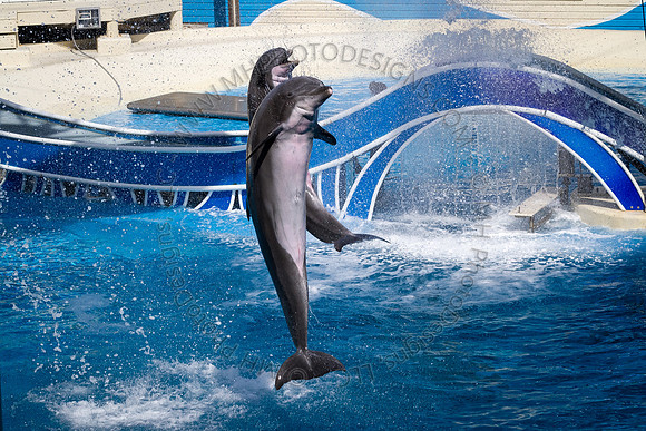 Florida 2012 ~ Week 3-134