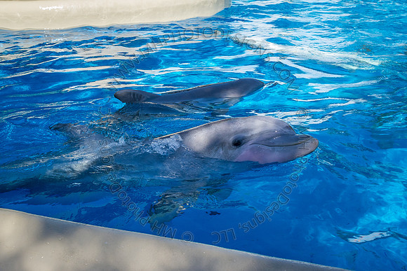 Florida 2012 ~ Week 3-021