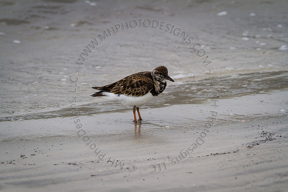 Florida 2012 ~ Week 3-188