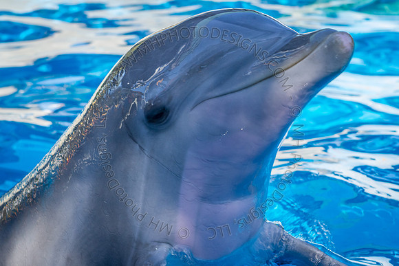 Florida 2012 ~ Week 3-022