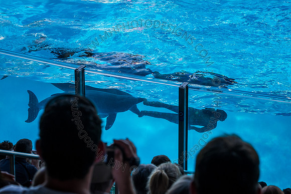 Florida 2012 ~ Week 3-107