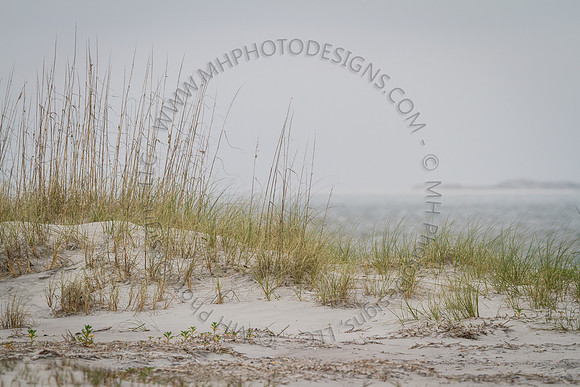 Florida 2012 ~ Week 3-261