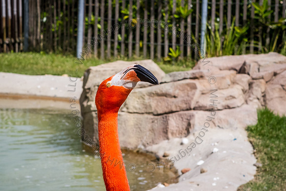 Florida 2012 ~ Week 3-082
