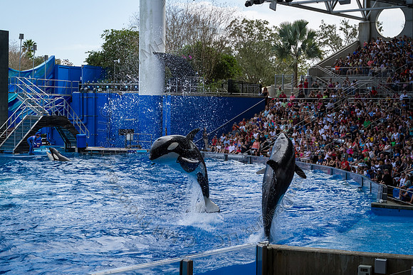 Florida 2012 ~ Week 3-038
