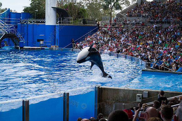 Florida 2012 ~ Week 3-031