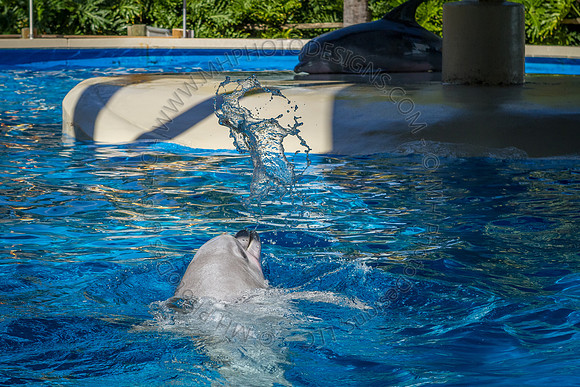 Florida 2012 ~ Week 3-023