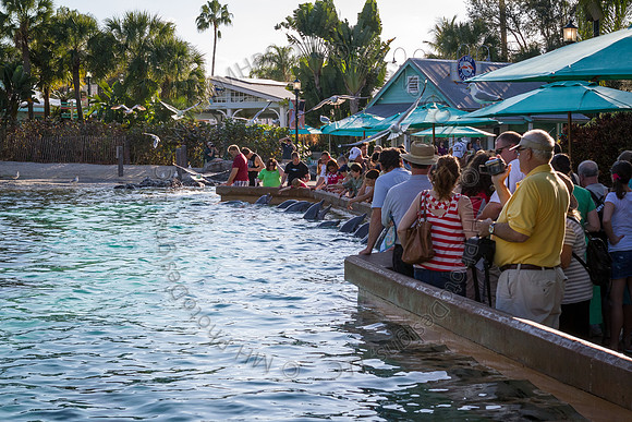 Florida 2012 ~ Week 3-161