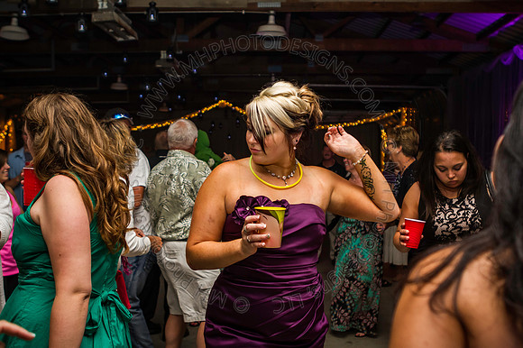 Smedbron Wedding 2013-057
