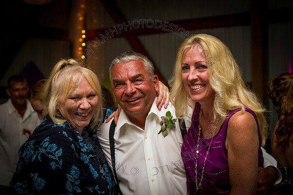 Smedbron Wedding 2013-026