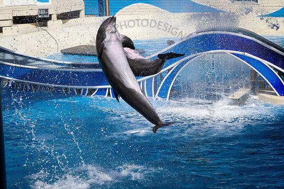 Florida 2012 ~ Week 3-133