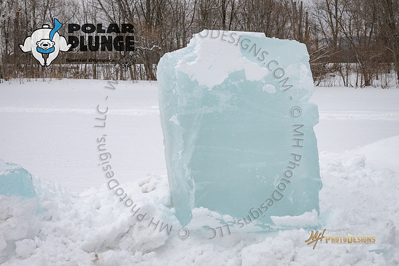 Wausau Polar Plunge 2018-023
