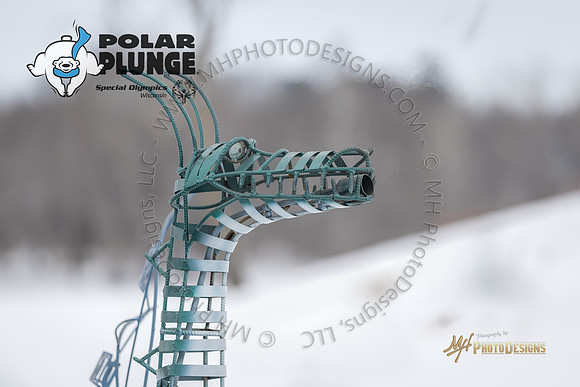 Wausau Polar Plunge 2018-341