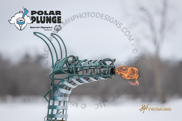 Wausau Polar Plunge 2018-343