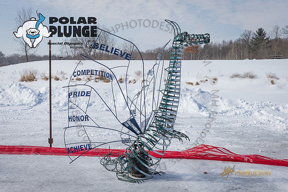 Wausau Polar Plunge 2018-014