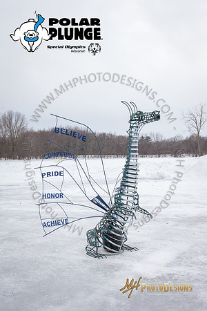 Wausau Polar Plunge 2018-342