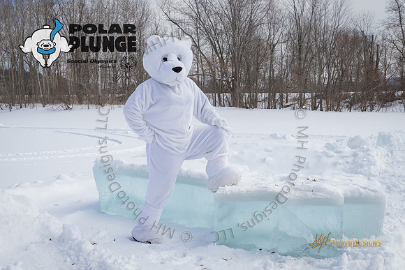 Wausau Polar Plunge 2018-321